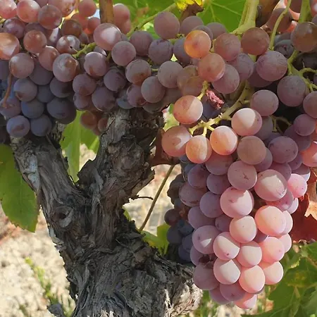 Ferienhaus Maison De La Fontaine